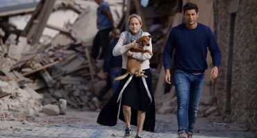 Il terremoto degli animali: a Norcia i soccorsi salvano 70 fra cani e gatti